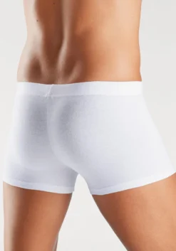 Boxer