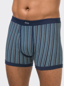 Hose kurz