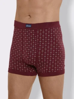 Hose kurz