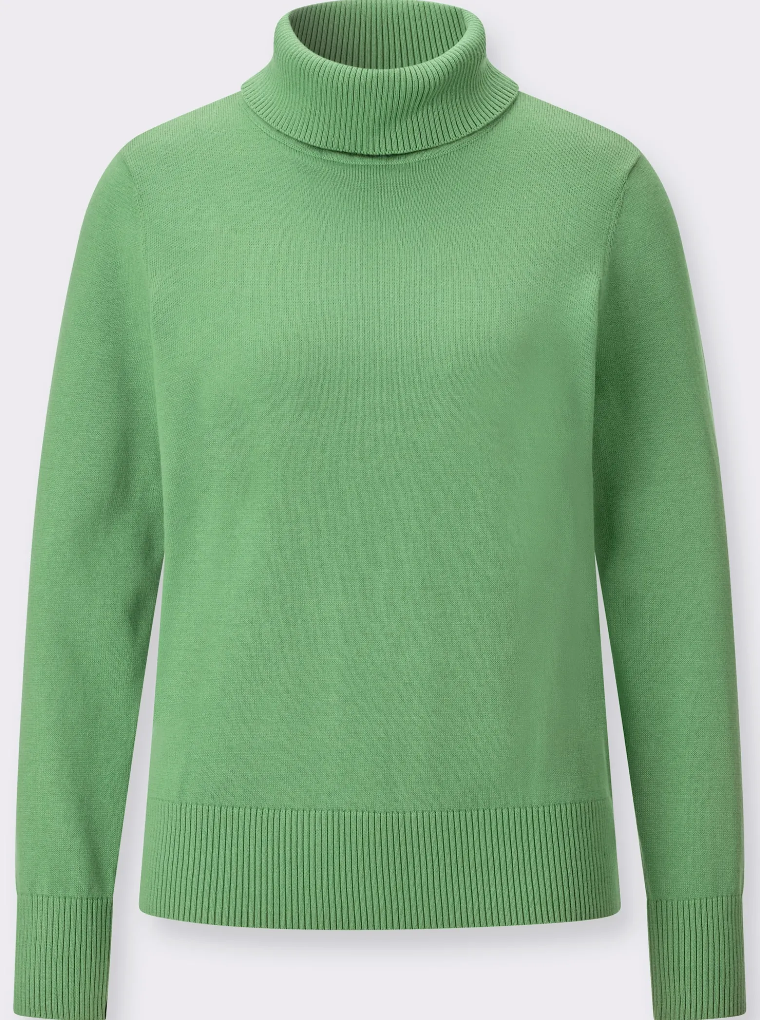 Rollkragenpullover mit Rippbündchen