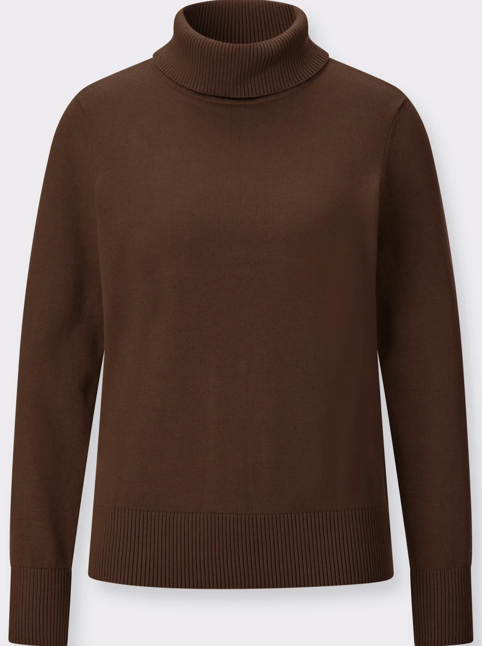 Rollkragenpullover mit Rippbündchen