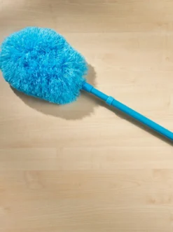 Staubbürste