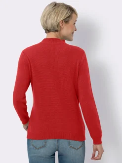 Stehkragenpullover mit Zopfmuster