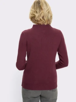 Stehkragenpullover mit Zopfmuster vorne