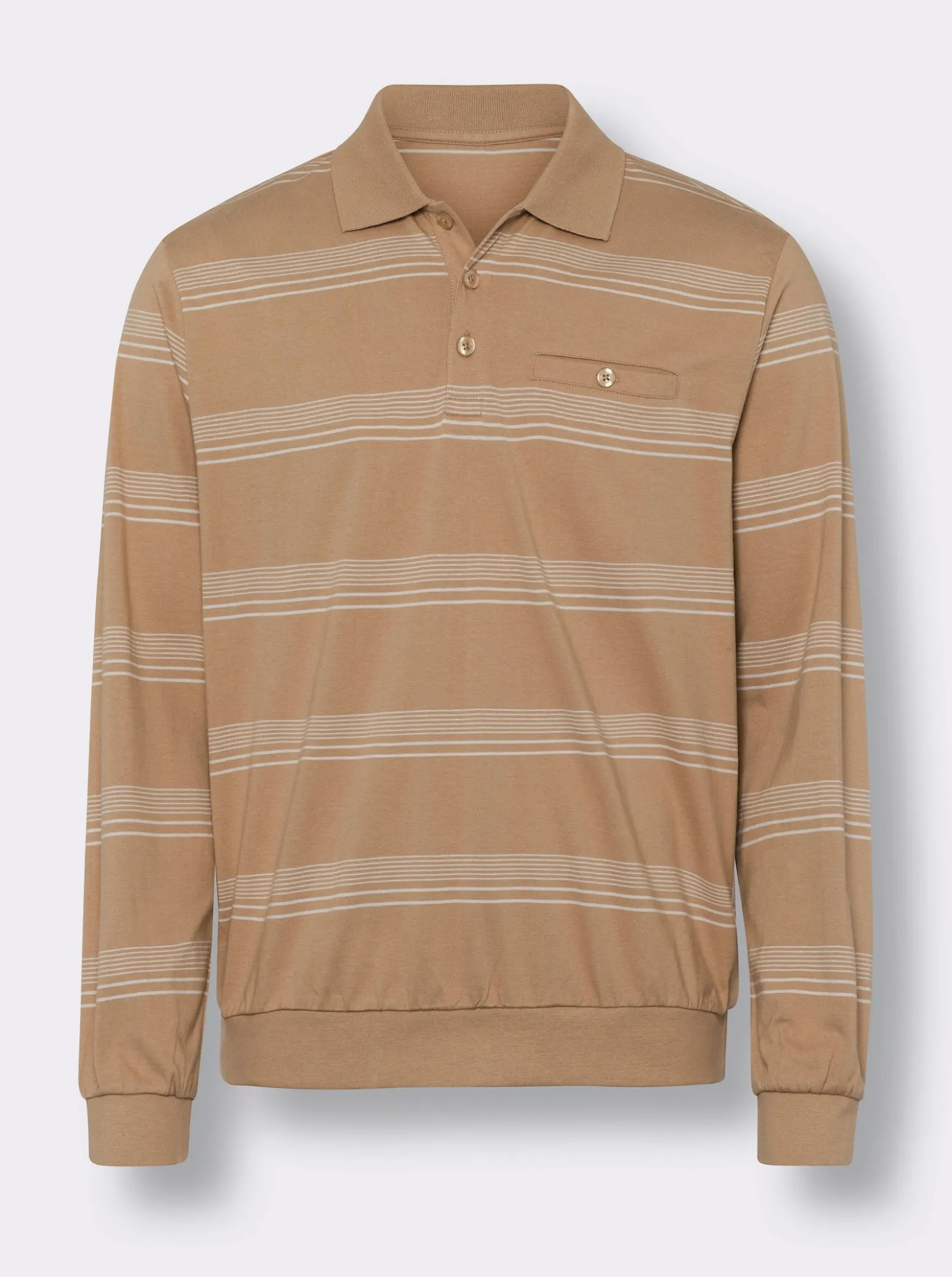 Sweatshirt mit Polokragen