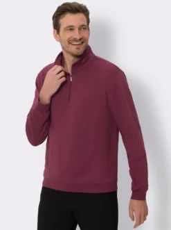 Sweatshirt mit Troyerkragen