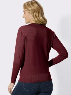V-Ausschnitt-Pullover aus reiner Baumwolle